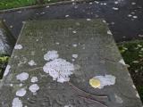 image of grave number 262396